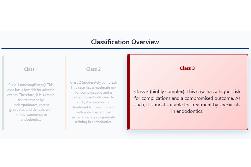 E-CAT assessment tool interface